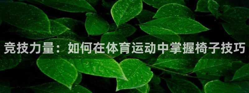 必一运动：竞技力量：如何在体育运动中掌握椅子技巧
