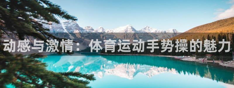 bsports必一运动：动感与激情：体育运动手势操的魅力