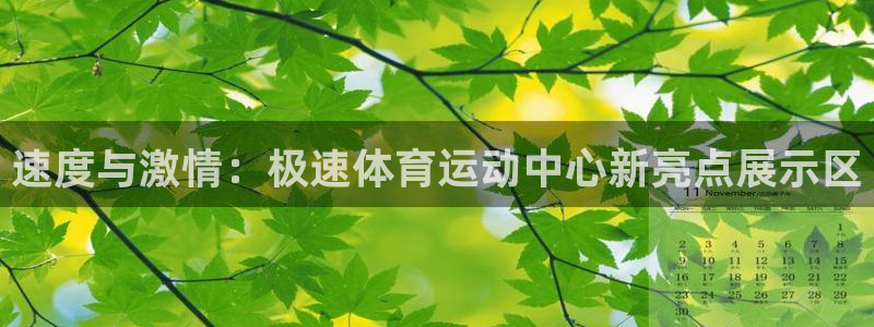 必一运动官网：速度与激情：极速体育运动中心新亮点展示区