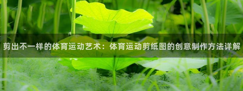 必一运动：剪出不一样的体育运动艺术：体育运动剪纸图的创意制作方法详解