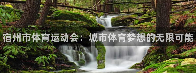 b体育必一运动官网：宿州市体育运动会：城市体育梦想的无限可能