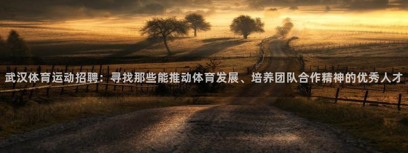 必一运动app：武汉体育运动招聘：寻找那些能推动体育发展、培养团队合作精神的优秀人才
