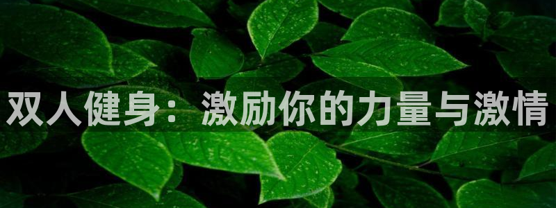 必一运动官网入口：双人健身：激励你的力量与激情