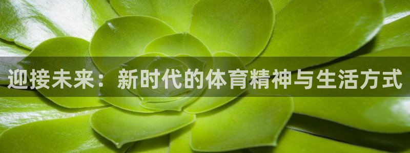 必一运动bsport体育：迎接未来：新时代的体育精神与生活方式