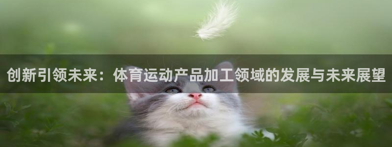 必一运动体育官网：创新引领未来：体育运动产品加工领域的发展与未来展望