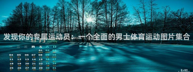 bsport必一运动：发现你的专属运动员：一个全面的男士体育运动图片集合