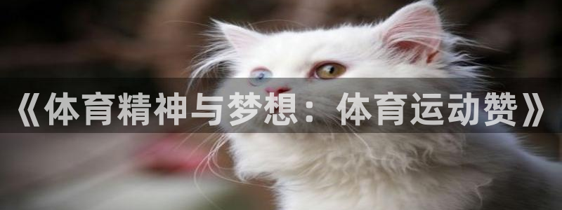 必一运动体育官网入口：《体育精神与梦想：体育运动赞》