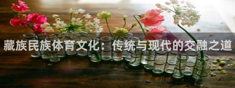 必一运动官网：藏族民族体育文化：传统与现代的交融之道