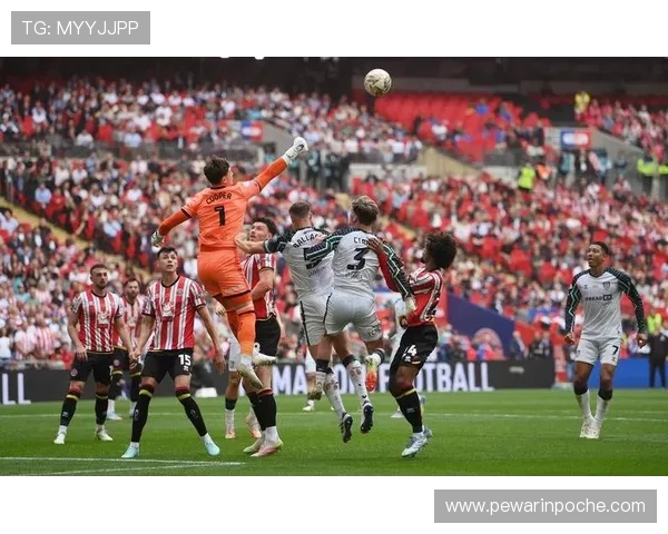 本菲卡球迷怒斥卡布拉尔应开除 本菲卡球迷怒斥卡布拉尔应开除